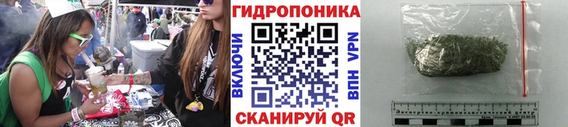 Бошки Шишки THC 21%  Купить где  Тайшет 