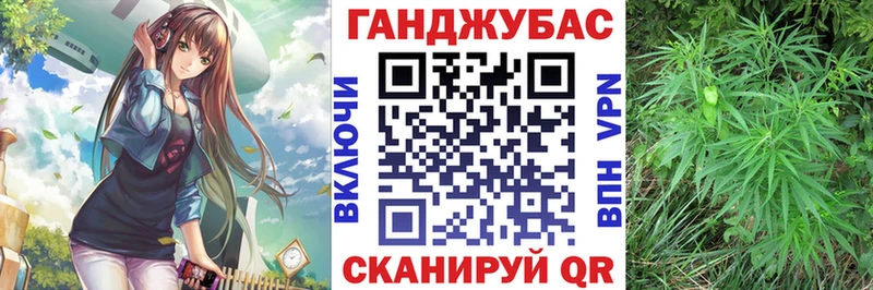 Конопля сатива Тайшет